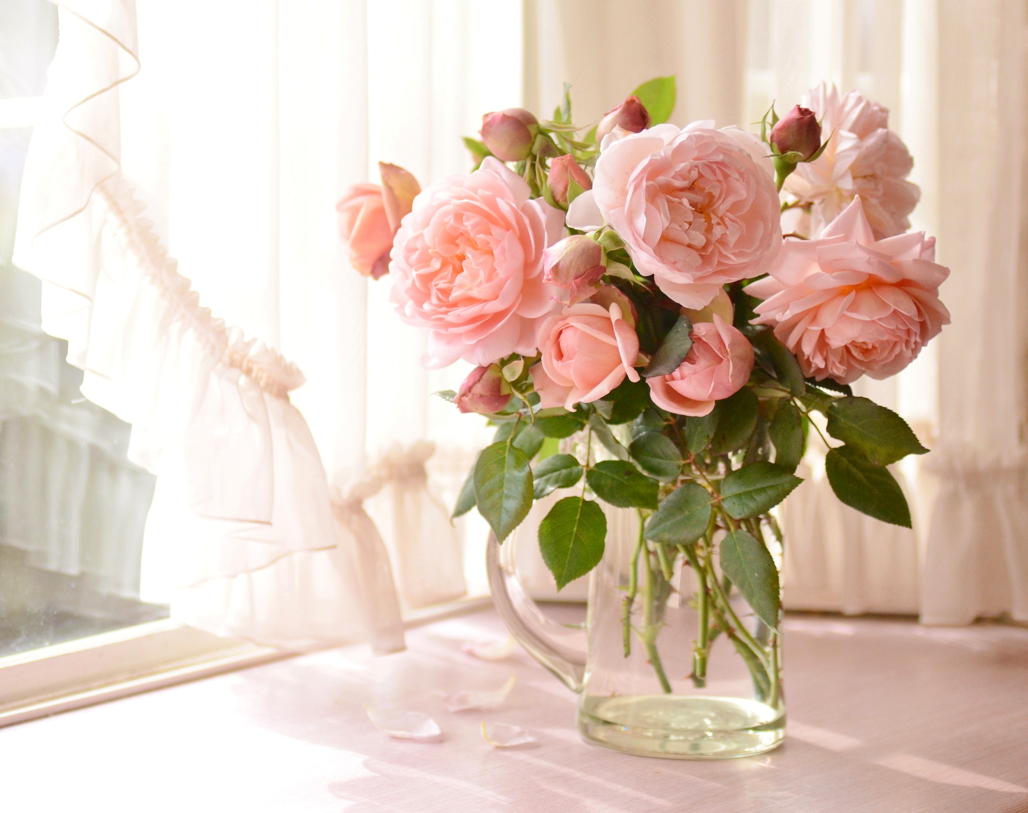 bouquet de pivoines devant une fenêtre