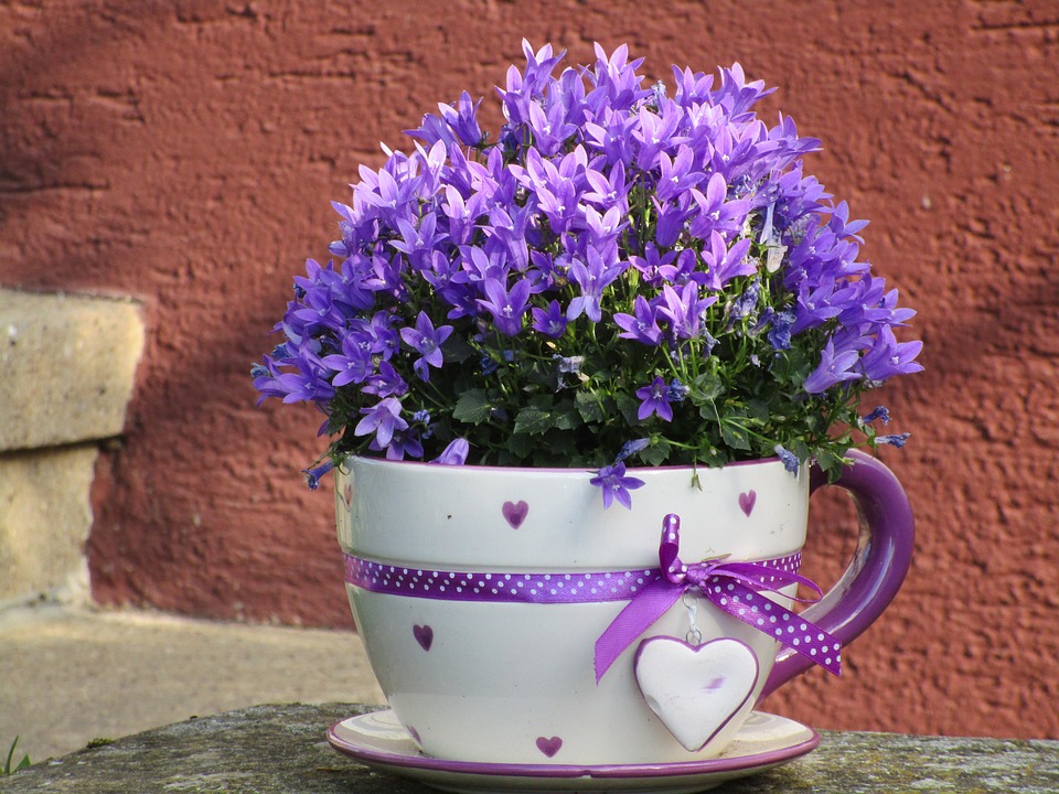 Bouquet de fleurs mauves dans une tasse blanche et mauve