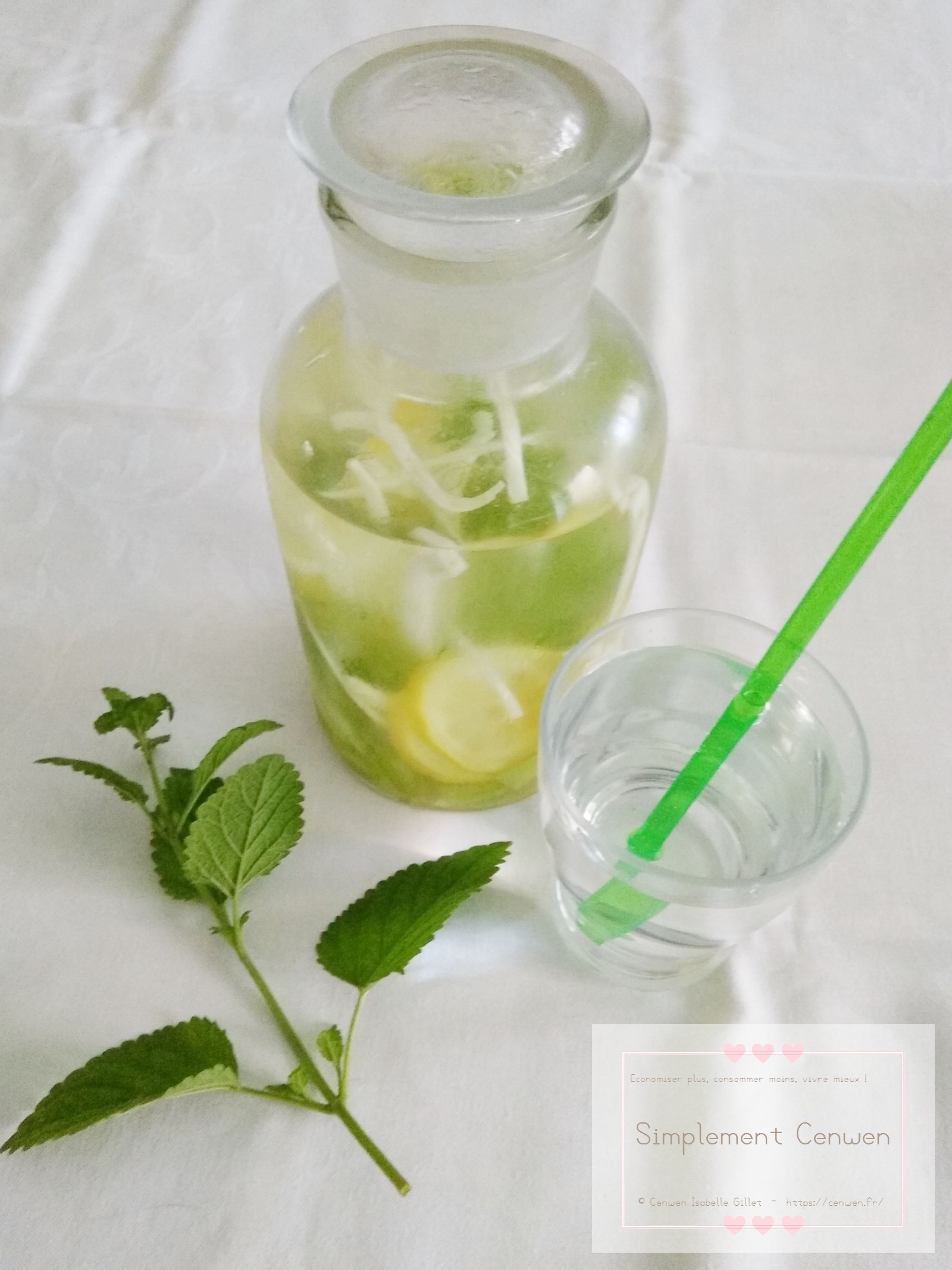 Carafe d’eau parfumée légèrement anisée avec quelques graines d’anis flottant à la surface.