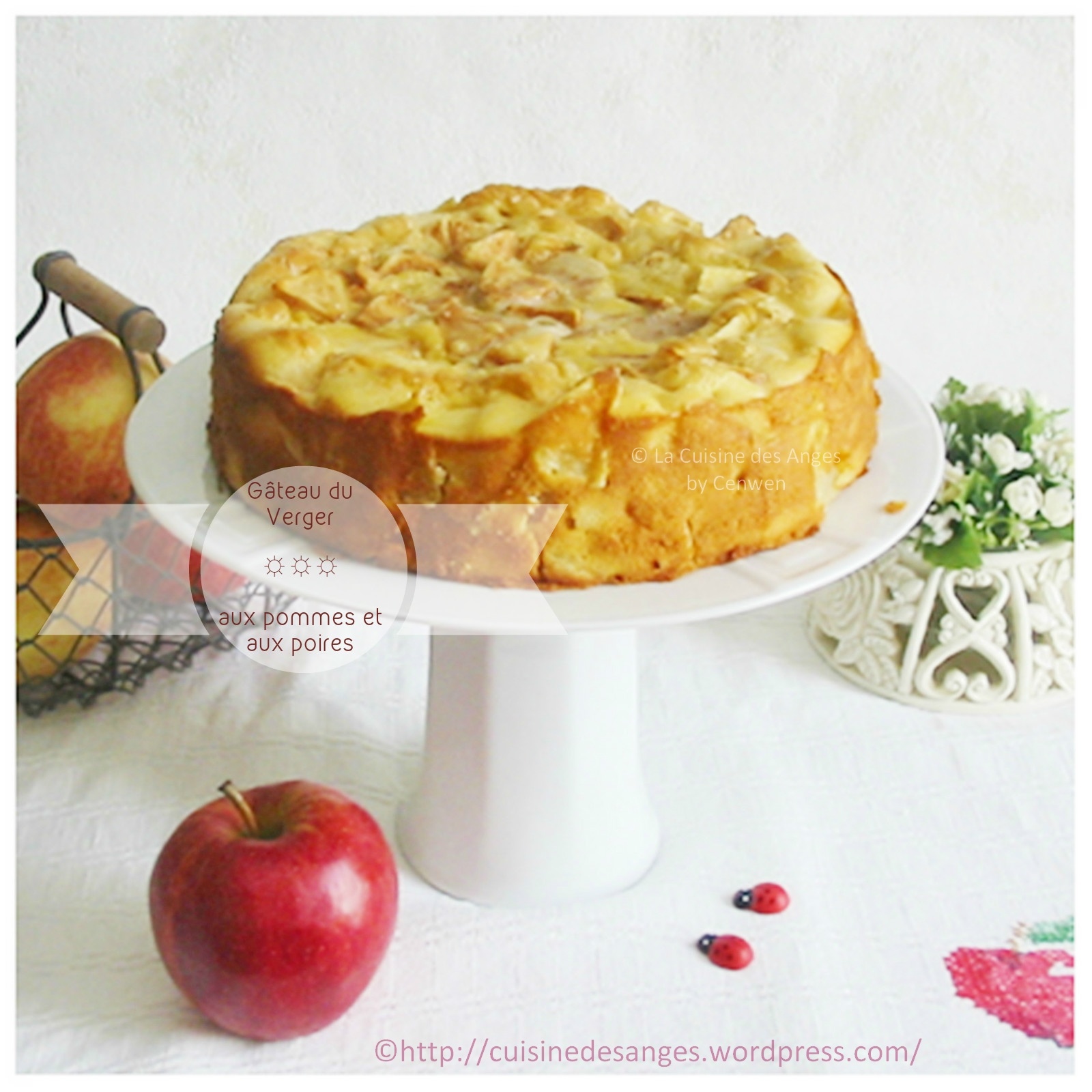 Gâteau aux pommes et aux poires moelleux et doré