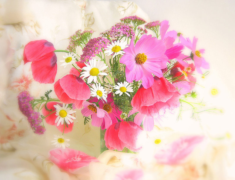 Petit bouquet de fleurs roses