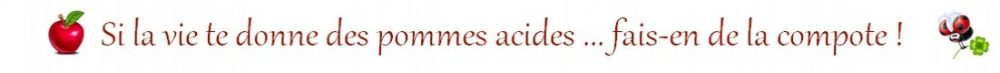 Header du blog cenwen.net avec la phrase : si la vie te donne des pommes acides, fais en de la compote