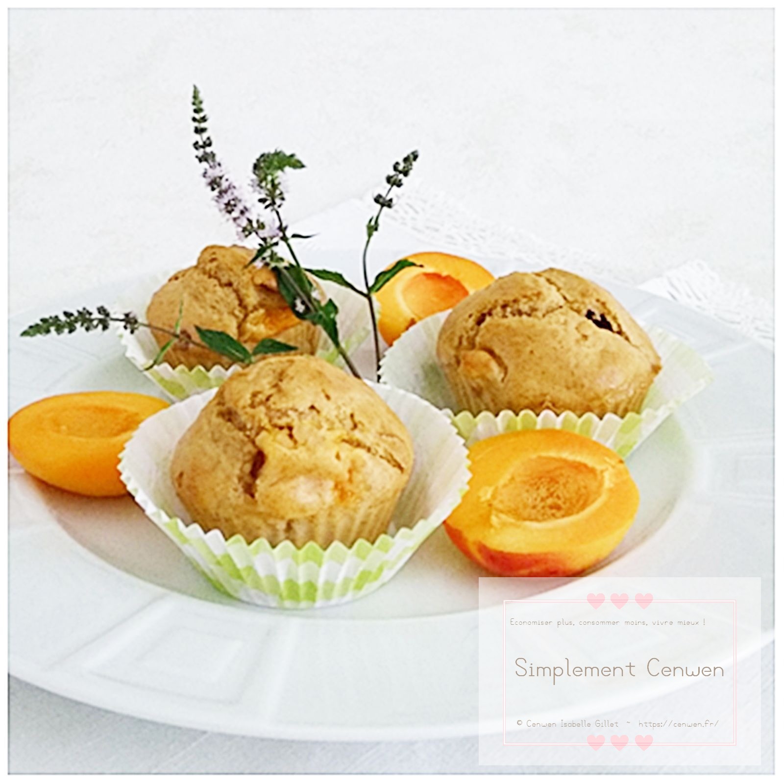 Muffins légers aux abricots, dorés et moelleux, parsemés de morceaux de fruits.