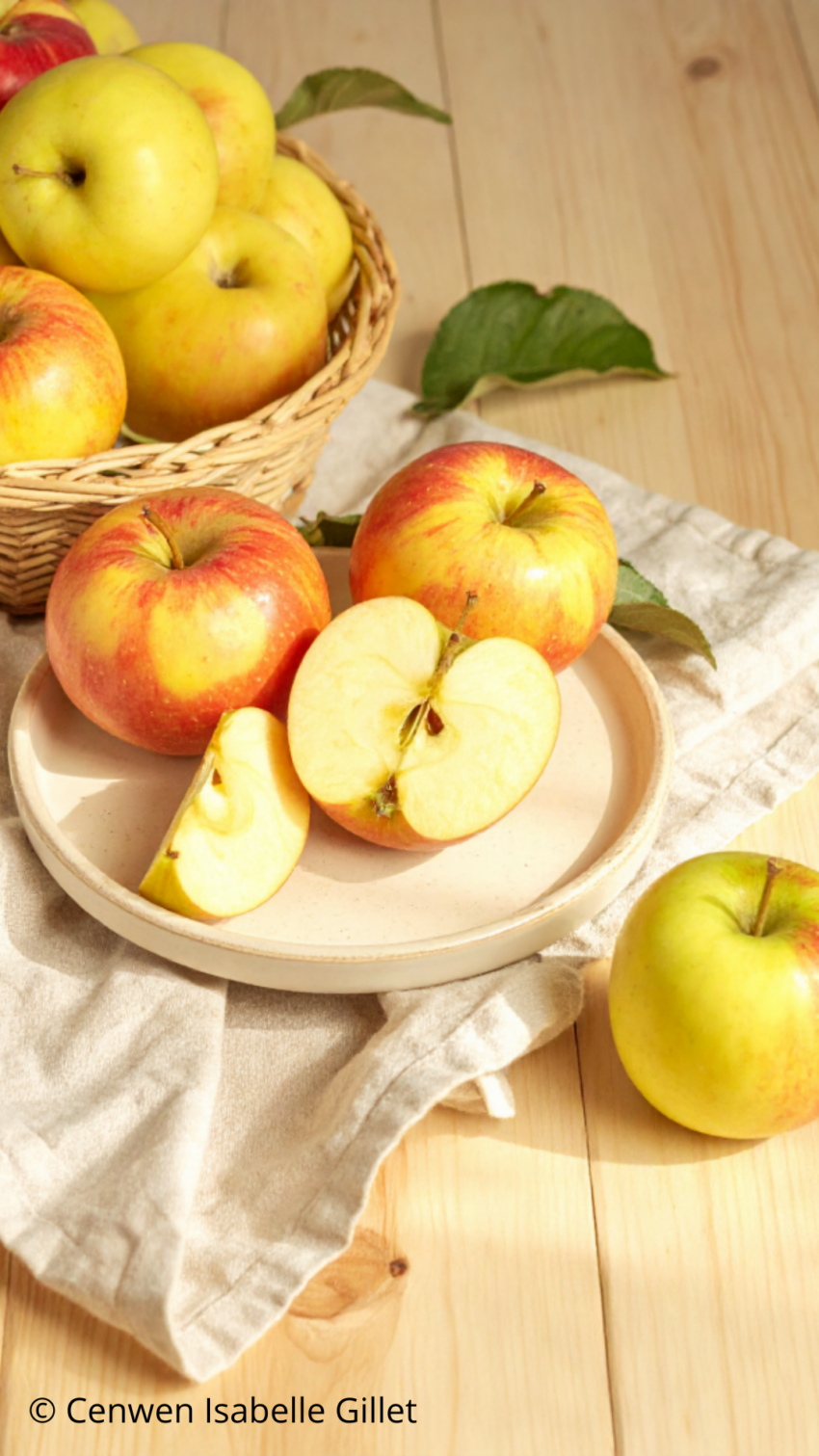 Pommes fraîches pour préparer une compote maison